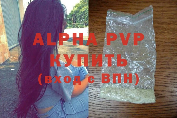 ECSTASY Коряжма