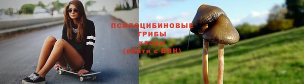 альфа пвп Корсаков