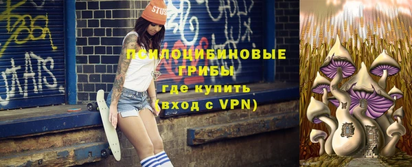 мдпв Краснотурьинск