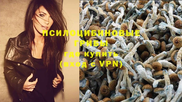 кокаин премиум Краснослободск
