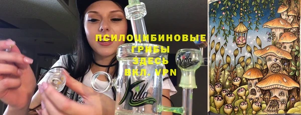мдпв Краснотурьинск