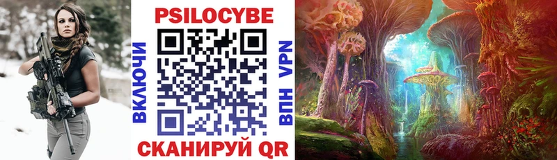 цены наркотик  Северск  Псилоцибиновые грибы мухоморы 